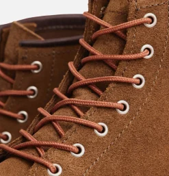 Moc Toe 3605 Clove Acampo