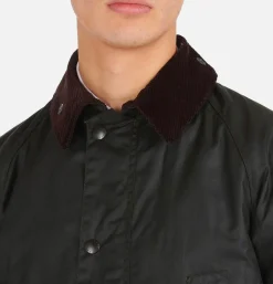 Veste Bedale SL Wax Sage